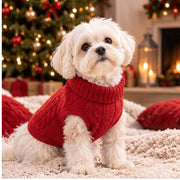 Pull Douillet Premium pour Chien & Chat