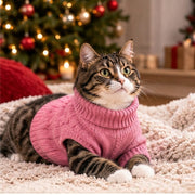 Pull Douillet Premium pour Chien & Chat