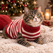Pull Douillet Premium pour Chien & Chat