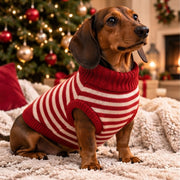 Pull Douillet Premium pour Chien & Chat