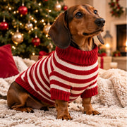 Chien portant le pull PetCosy à rayures rouges fines